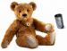 Mohair Teddy Bear With Hot-Water Bottle 1908